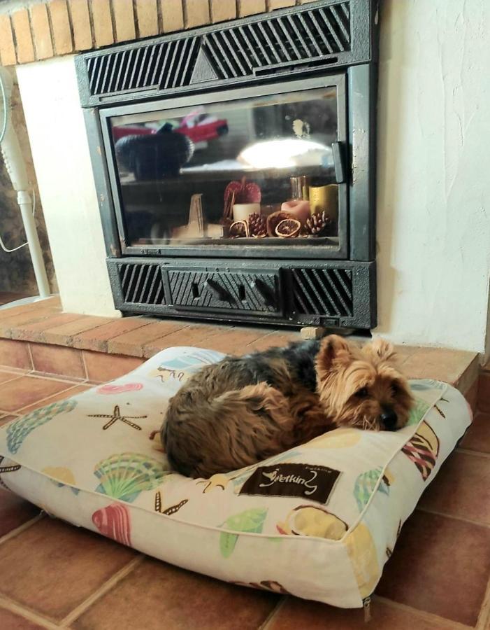 La Ultima Casa Masboquera Villa Mas Boquera Luaran gambar